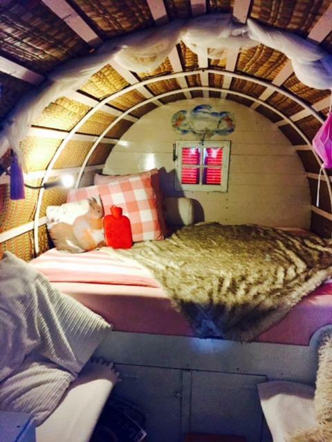 De Oude Nadorst Bed and Breakfast Γκρόνιγκεν Εξωτερικό φωτογραφία